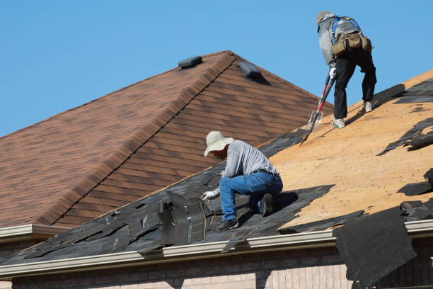 Roof Coating Services in Ellijay, GA