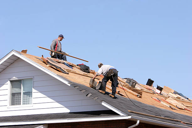 Steel Roofing in Ellijay, GA