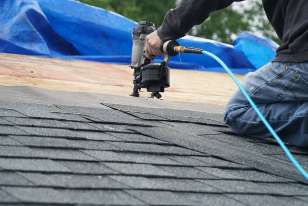 Best Roof Ventilation Installation  in Ellijay, GA